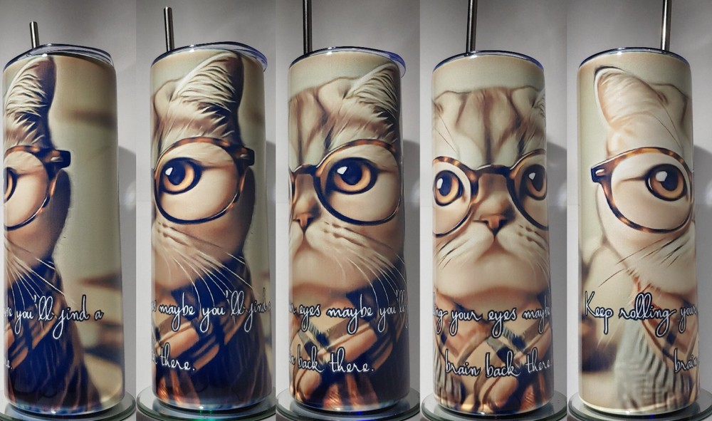 Funny sarcastic cat tumbler  Stainless-Steel 20oz with SS straw and cleaner