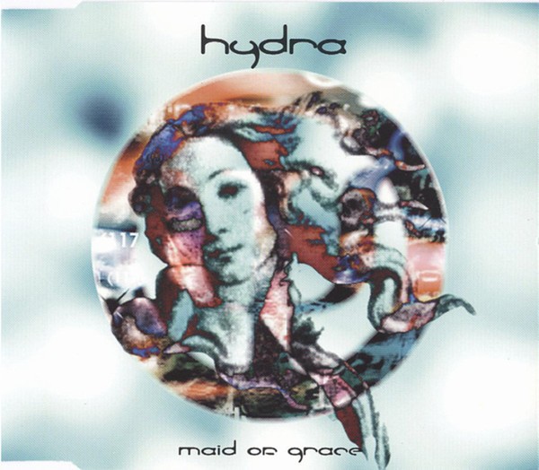 Graceful Maid Costume Elegant Lace Dress