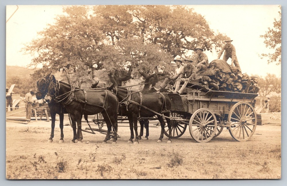 RPPC Horse Drawn Wagon Logging Crew Four Horse Team Wood Hauling Early 1900's
