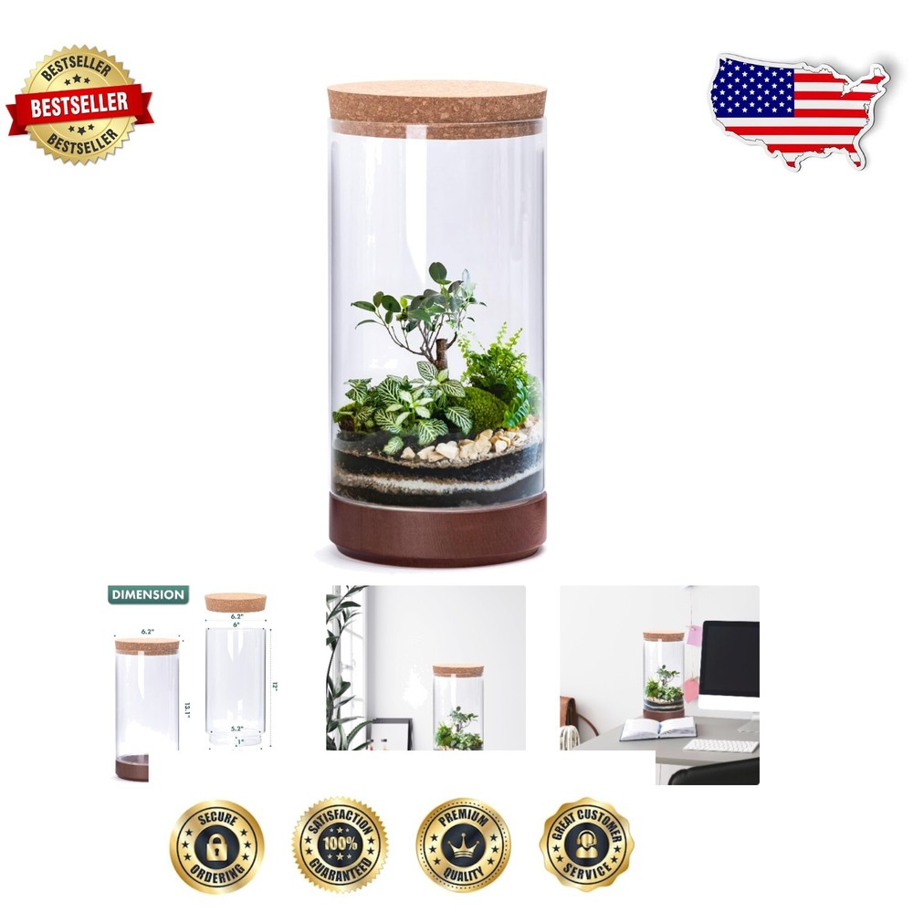 6.2-Inch Modern Cylindrical Terrarium for Hydroponics & Aquatics