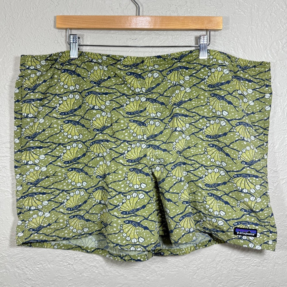 Patagonia Shorts XL Baggies 5