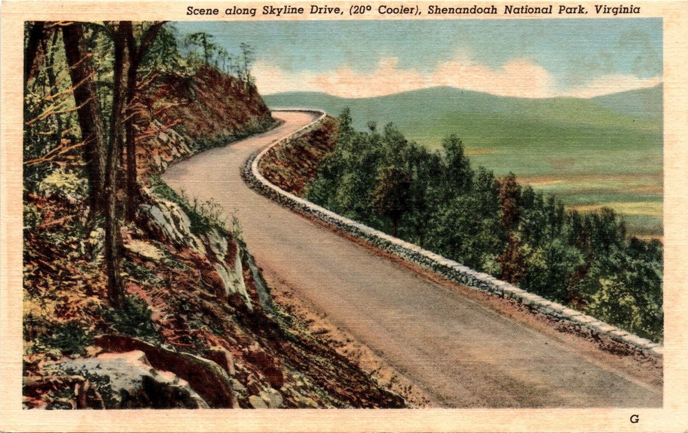 Skyline Drive, Shenandoah National Park, Virginia Postcard