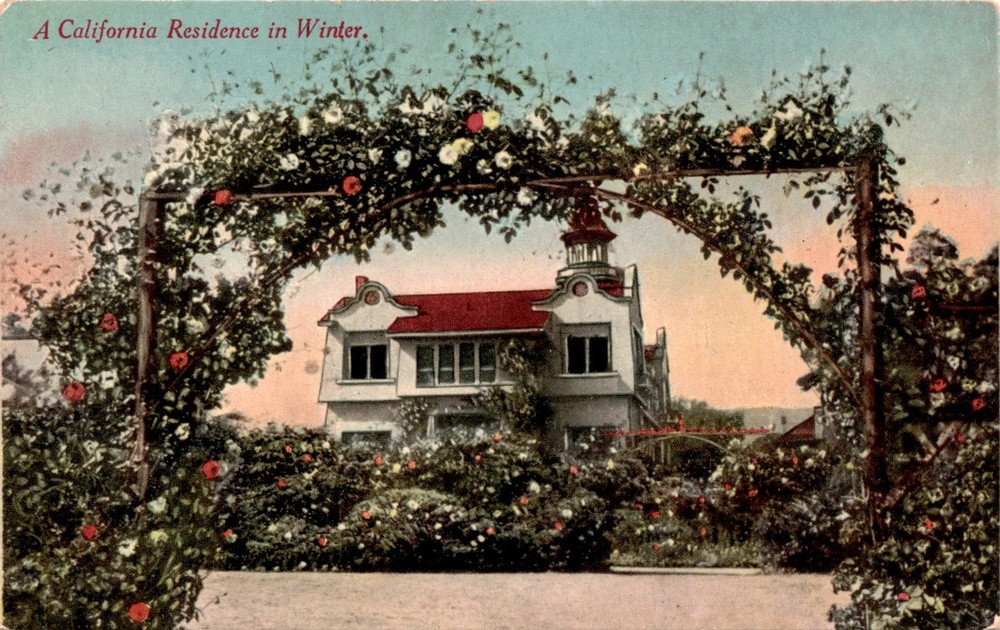 California Residence, Winter, SAN FRANCISCO, LOS ANGELES, Newman Post Postcard