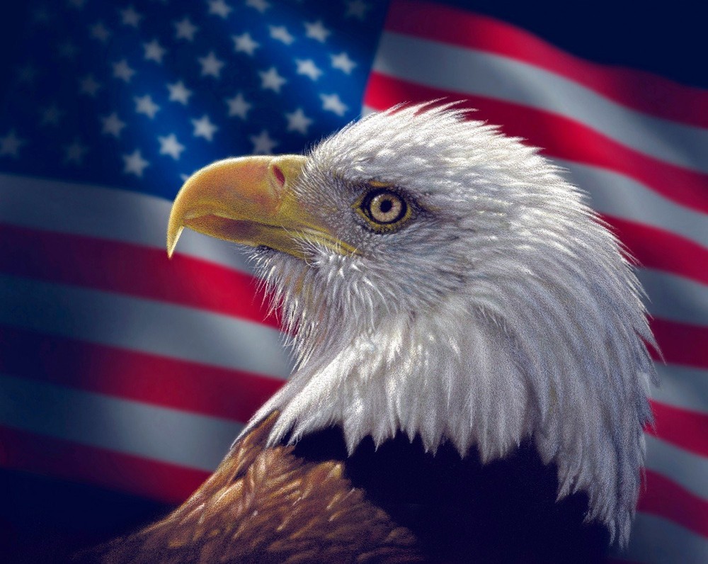 35-inch Patriotic Eagle and Flag Fabric Panel by David Textiles