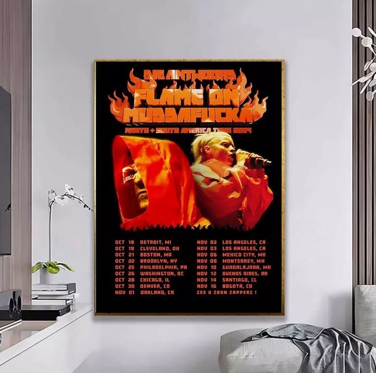 Die Antwoord North + South America Tour 2024 Poster