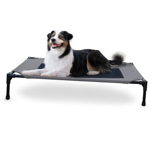 Dog Cots Beds for Large Dog- Elevated Large 42