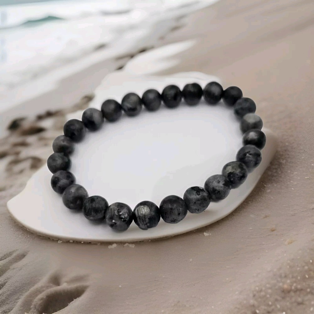 Paparazzi Men's/Women's Black Beautiful Bracelet