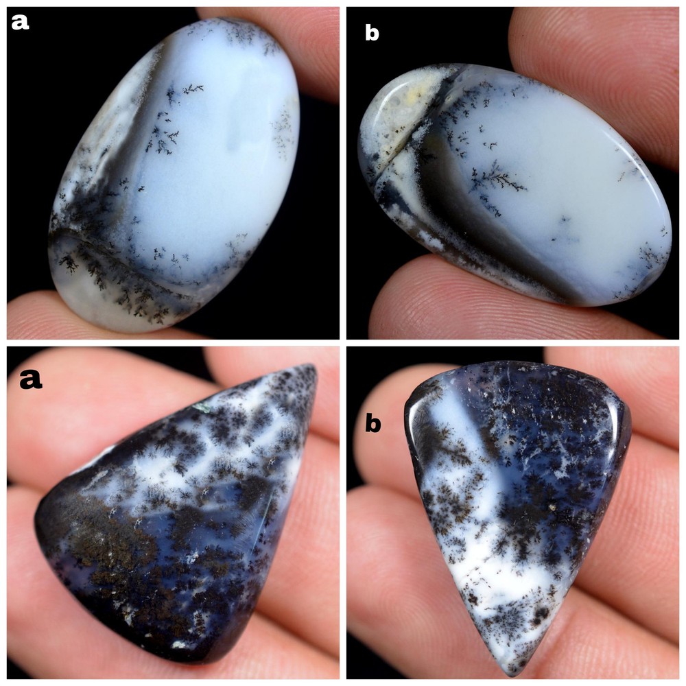 29.05,22.75 Cts 100% Natural Dendrite Opal Cabochon 2 Pcs Mixed Gemstone FY21