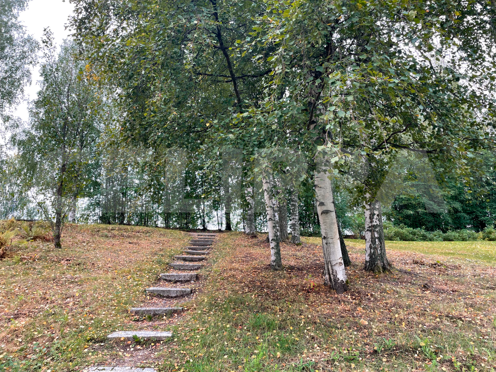 Photo Digital 300 dpi Wallpaper Image Picture Background Desktop Art