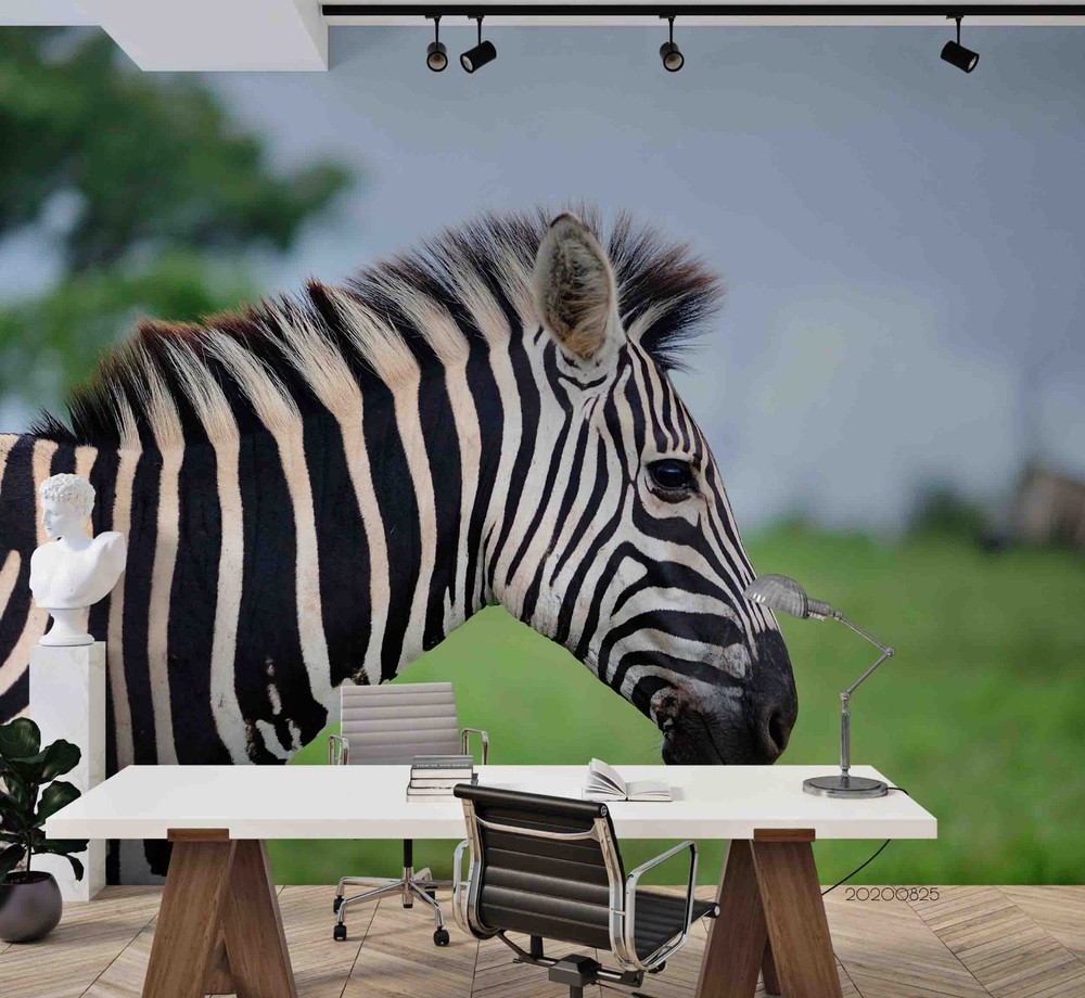 3D Zebra Animal Close-up Wall Murals Wallpaper Murals Wall Sticker 2