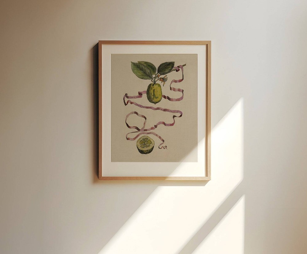 Vintage Limes Still Life Print Botanical Wall Art Cottage Core Decor Rustic