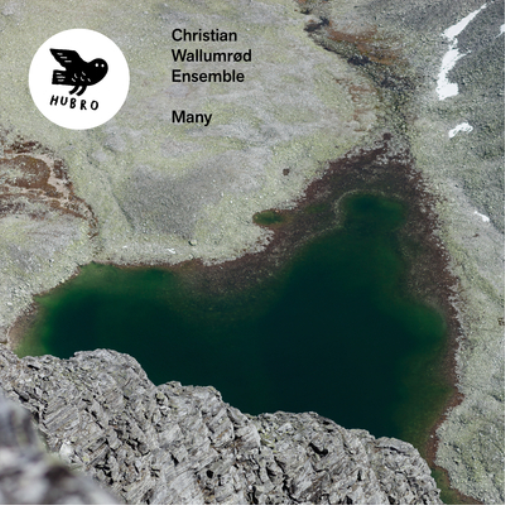 Christian Wallumrød Ensemble Many (CD) Album