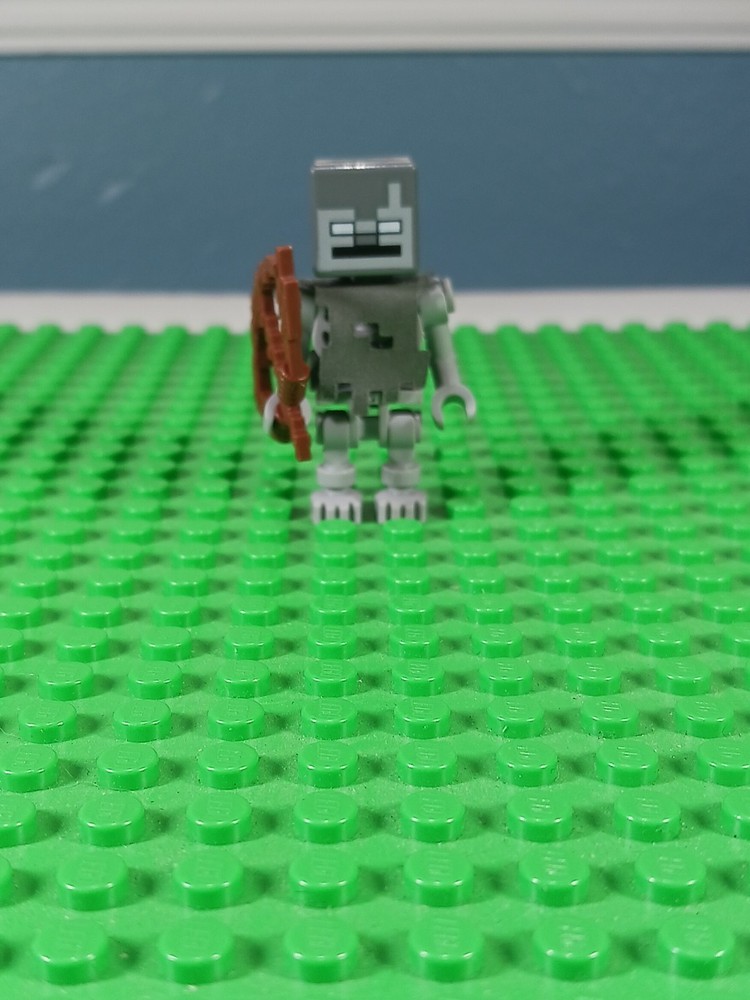 Lego Minecraft Stray Minifigure Set 21142 with Exclusive Builds  