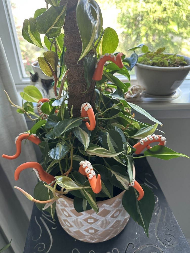 Orange Sea Creature Tentacles Plants Decor Plant Friend, Spring Octopus