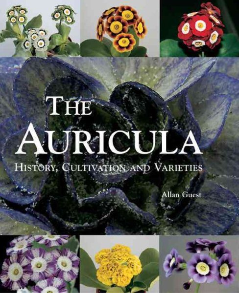 Auricula : History, Cultivation and Varieties, Hardcover by Guest, Allan, Lik...