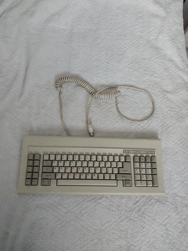 Chicony KB-5161A Mechanical Keyboard with Vintage Switch Keys for Electronics Enthusiasts