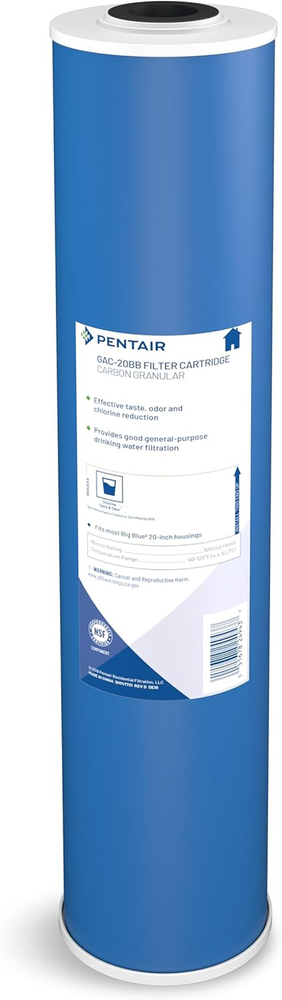 Pentair  GAC-20BB Big Blue Carbon Water Filter, 20-Inch, Whole House Heavy Duty