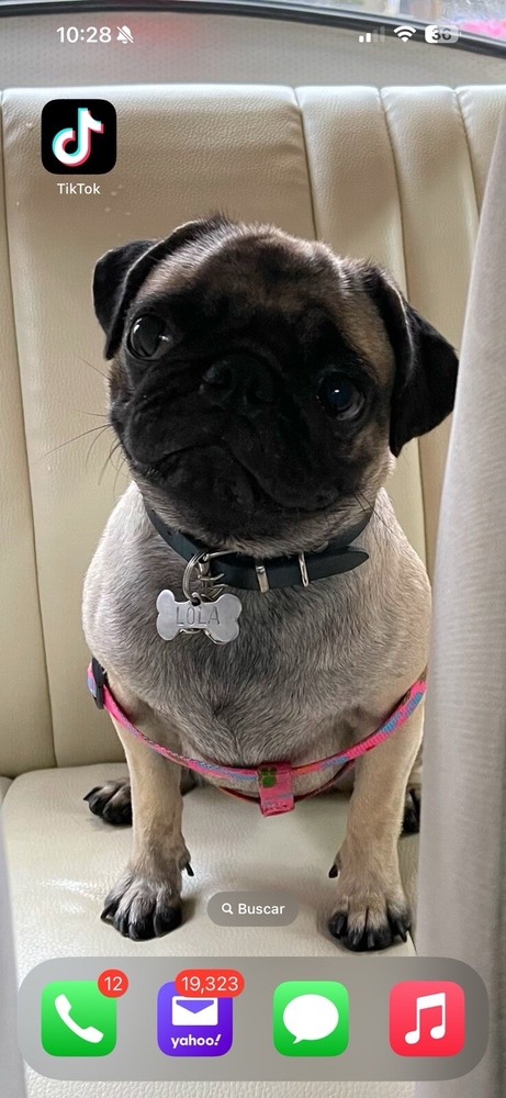 iphone 15 Pro Max Con Tik Tok