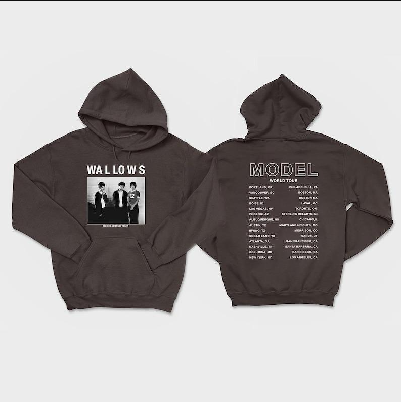 two sided hoodie, The Wallows Model Tour 2024 Hoodie, gift for fans