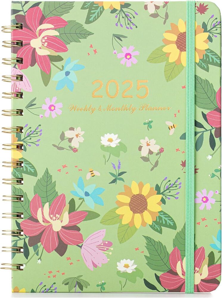 Mr. Pen- 2025 Planner, 6.4