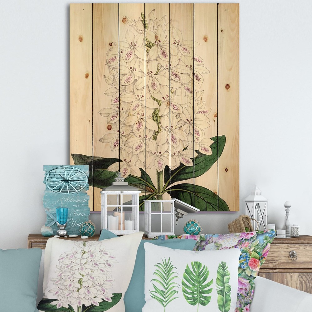 Designart 'Vintage White Orchid III' Traditional Print on