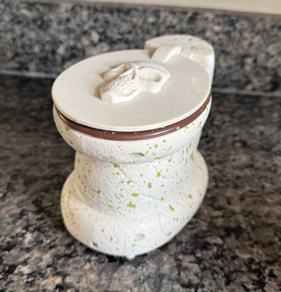 Spooky Animated Haunted Toilet with Talking Skull & Sound Effects  