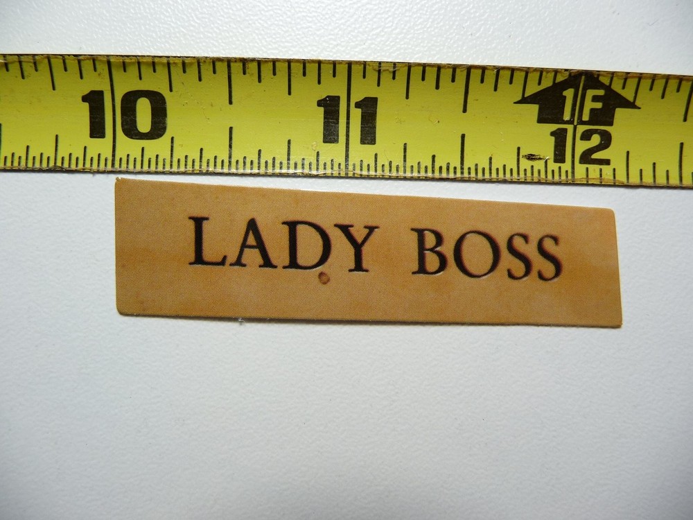 Lady Boss Motivational Sticker Decal for Scrapbooking & Journals