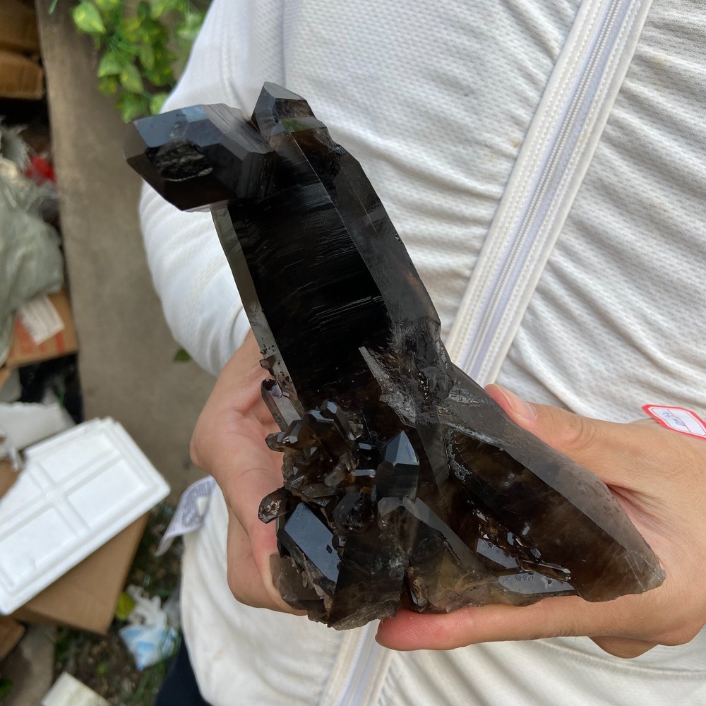 1.8lb Natural Black Smoky Quartz Crystal Cluster Specimen healing