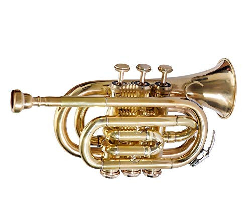 Pocket Trumpet Bb Pitch Brass with Hard Case & Mouthpiece CHRISTMAS SALE NICE-image