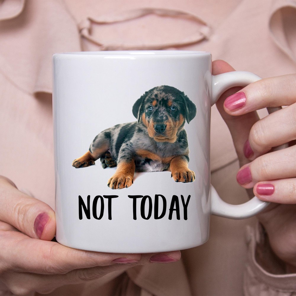 Divertida taza Beauceron cachorro Merle no hoy perro regalo perezoso para mujeres perros mamá