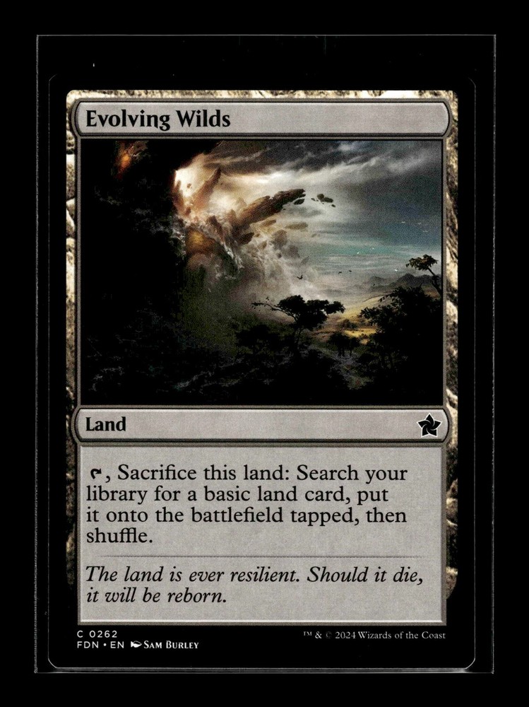 Evolving Wilds Foundations #262 NM+ MTG Land Card  