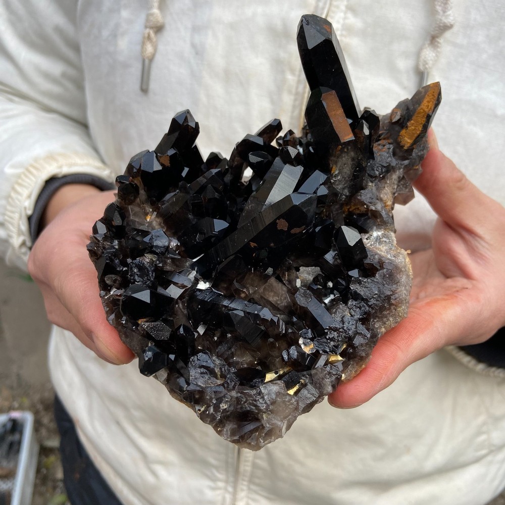 1.7lb Natural Black Smoky Quartz Crystal Cluster Specimen healing