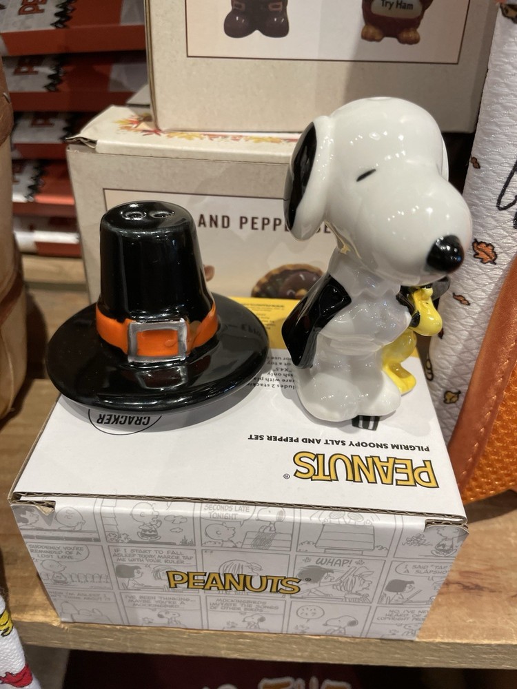 Peanuts Snoopy & Woodstock Pilgrim Thanksgiving Salt & Pepper Set New In Box CB