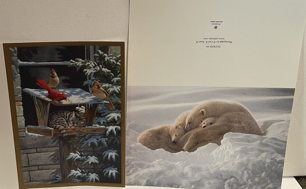Vintage Greeting Cards Cardinals and Polar Bears Smithsonian