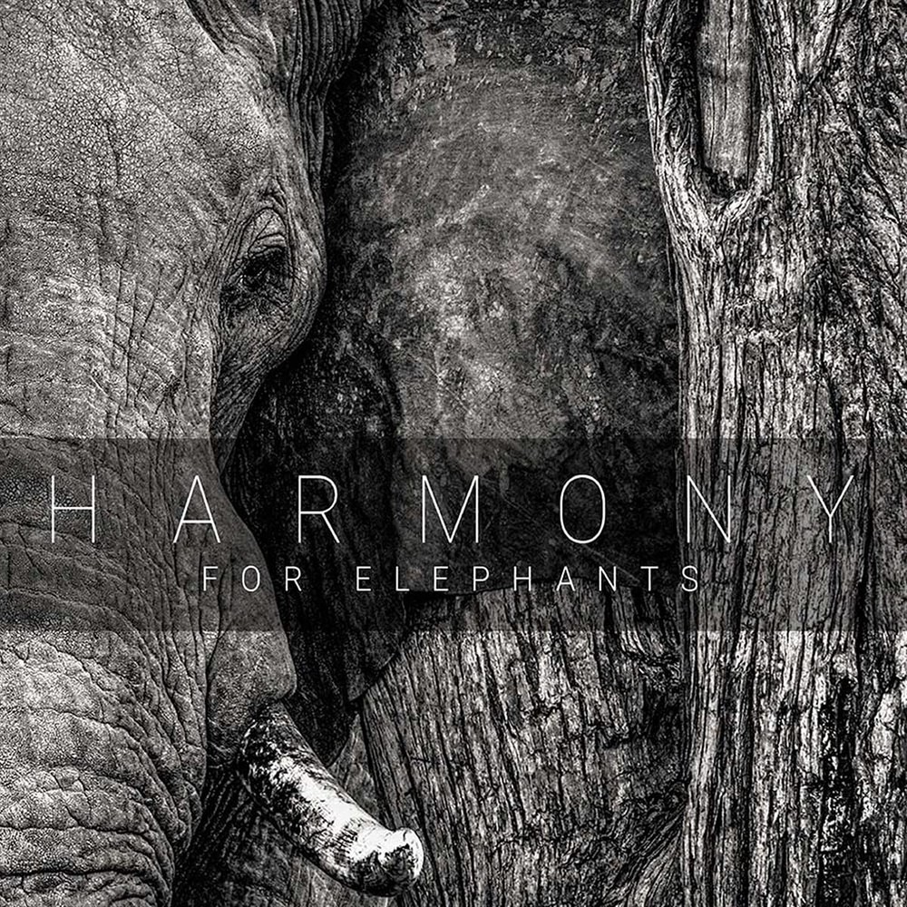 Harmony For Elephants [CD] [Ex-Lib. DISC-ONLY]