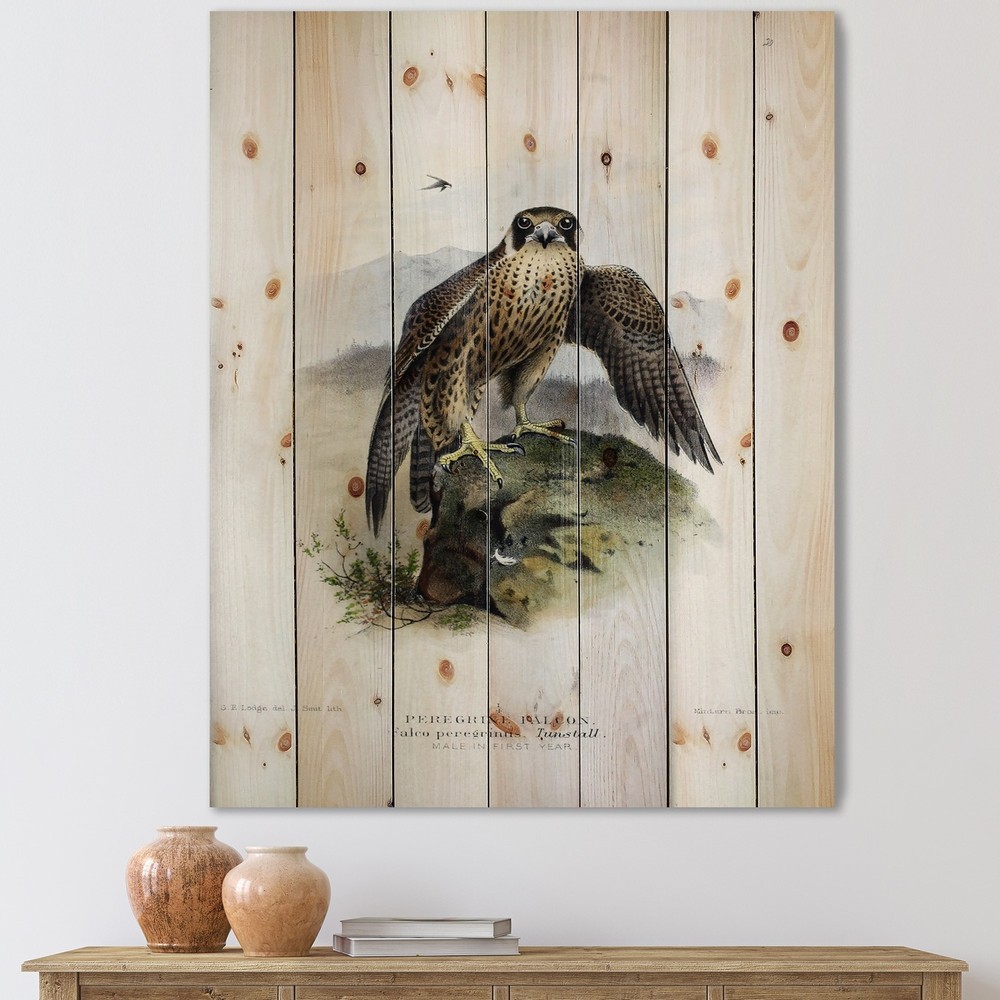 Designart 'Vintage Bird Life VIII' Traditional Print on