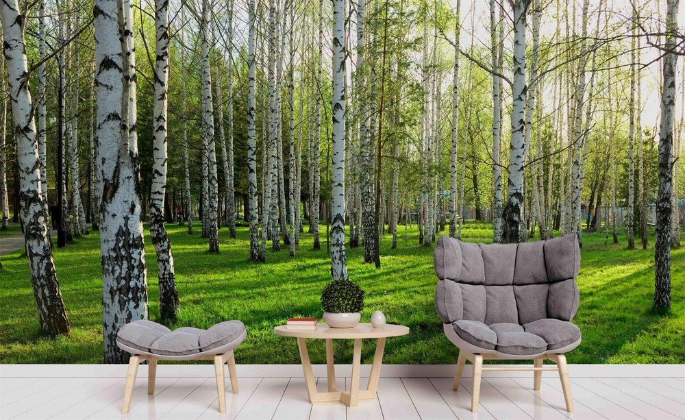 3D Poplar Forest Sunlight Landscape Wall Murals Wallpaper Murals Wall Sticker