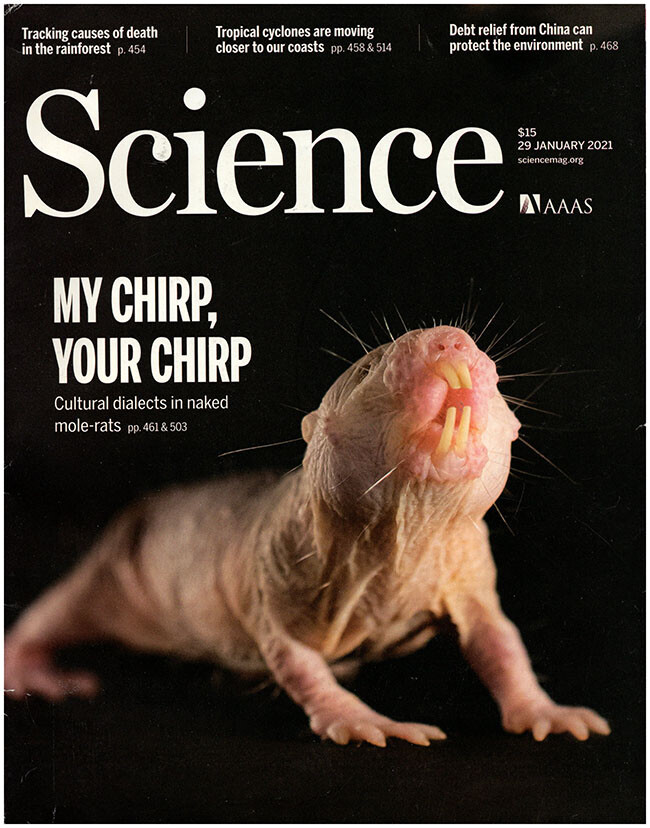 Science Magazine (29 January 2021, Vol 371, No. 6528)