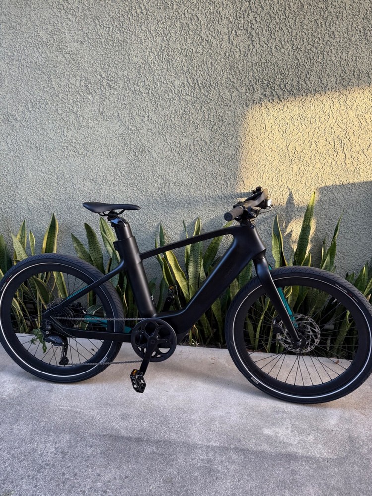 Mercedes-Benz F1 N+ 750W 29 Electric Bike Black and Blue Motorcycle Style