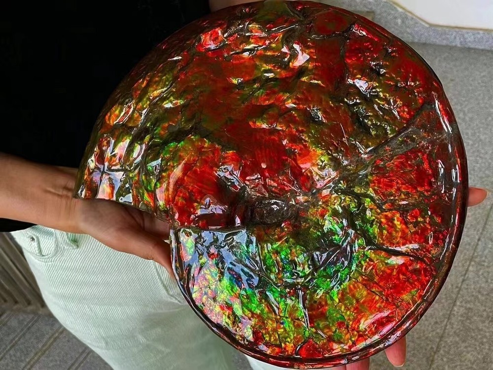 4.95LB Natural Canada Crystals Ammolite Fossil Quartz Crystals Rough healing Gem