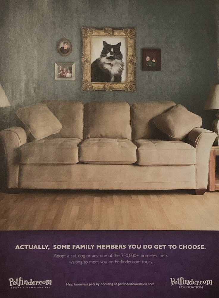 2011 Pet Finder Foundation Print Ad - Adopt a Cat to Join Your Family