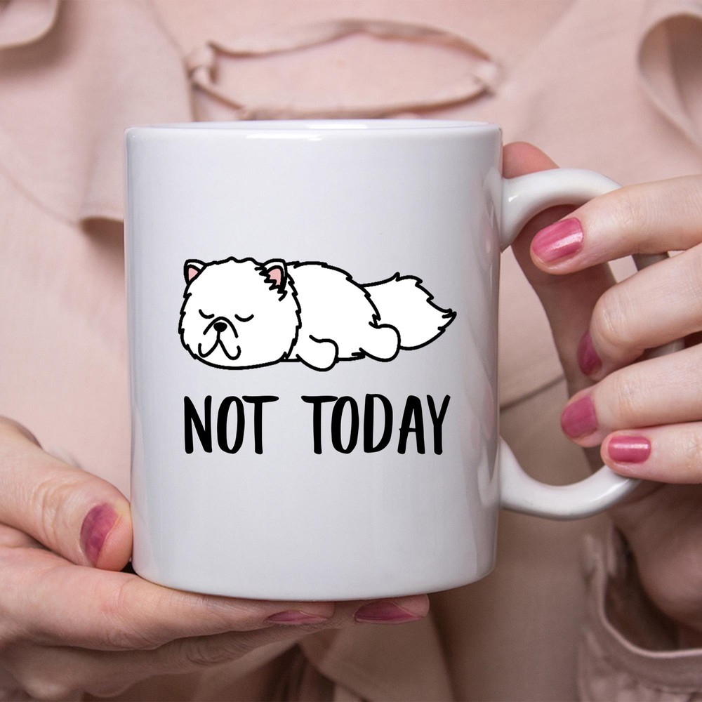 Funny Persian Cat Lazy Sleeping Not Today Cat Mug Lazy Gift For Cats Lovers