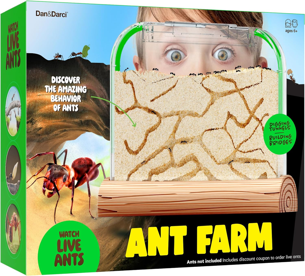 Ant Farm Kit - Sand Habitat for Kids, Includes Ant Voucher, Educational Terrariu-image