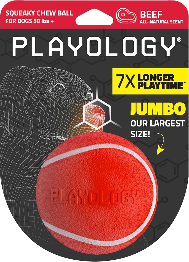 Playology Squeaky Chew Ball for Dogs | Engaging All-Natural Beef Scented Dog Toy