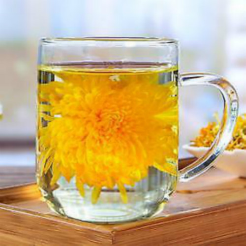 Organic Gold Huang Ju 4 Pcs Large Chrysanthemum Herbal Tea Summer Blend