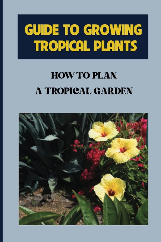 Kory Mascall Guide To Growing Tropical Plants (Paperback)