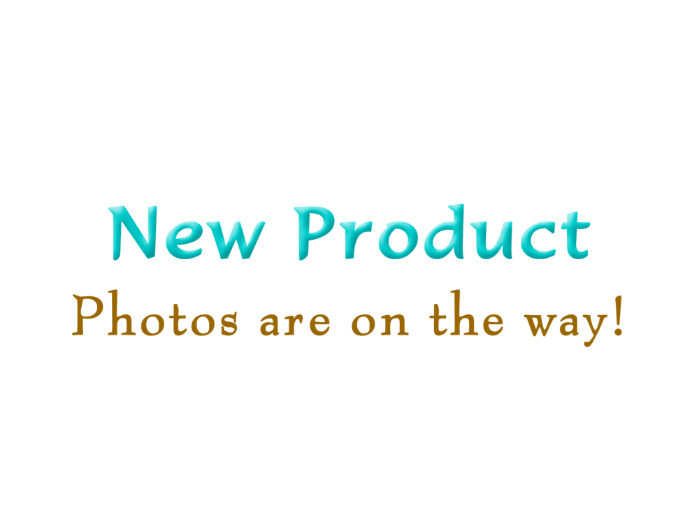 Juego de pendientes con clip Marsa enchapados en oro en forma de concha joyas