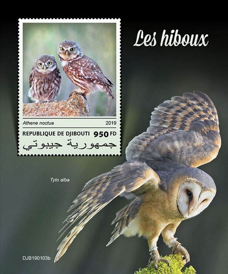 OWLS Birds of Prey 1-Value MNH Bird Stamp Sheet #148 (2019 Djibouti)