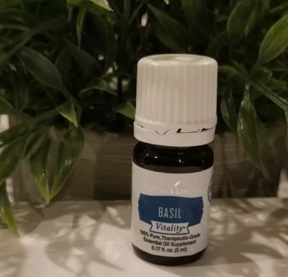 YOUNG LIVING Essential Oils BASIL VITALITY 5ml - New - Sealed
