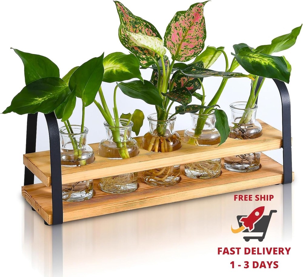 Estaciones de propación de plantas con soporte de madera, terrario de